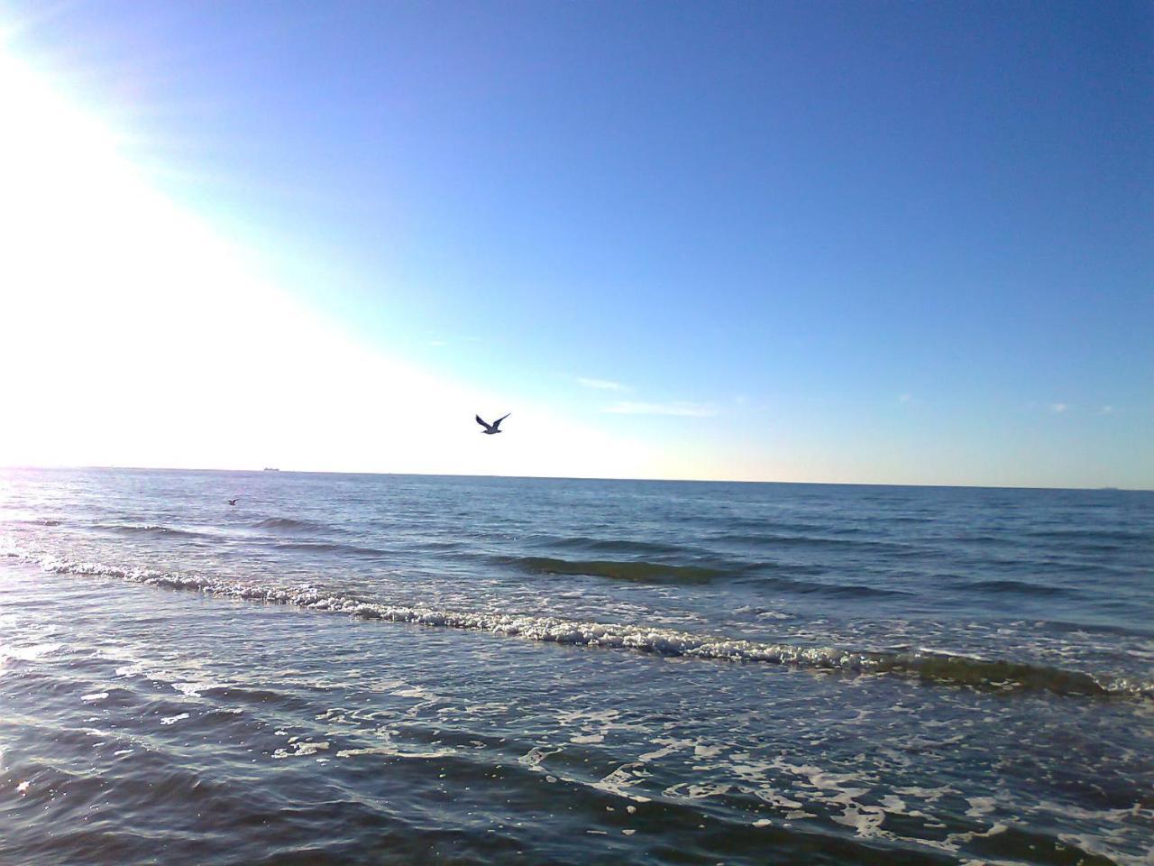 Flat With Sauna In Rerik On The Baltic Sea Exterior photo